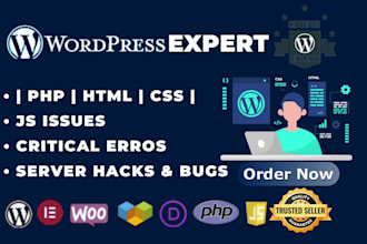 fix wordpress server issues critical errors, hacks, and bugs