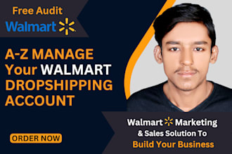 fully manage your walmart dropshipping store as walmart va