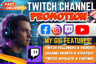 do organic twitch SEO live stream video promotion for your twitch channel