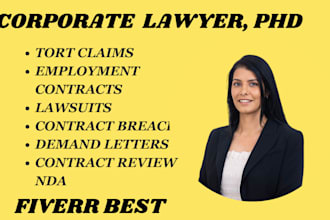 be your civil lawyer for tort claims, contract, agreements and demand letter
