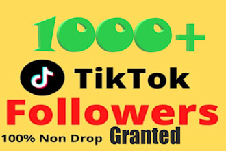 grow and promote your tiktok account followers