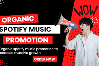 superfast organic USA spotify music promotion, spotify album promotion