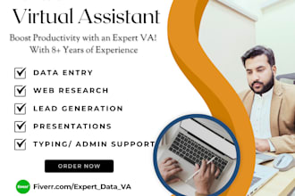 be your executive virtual assistant for data entry, webresearch, lead generation