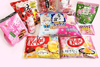 buy whatever you need  from japan and send it to you