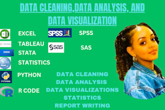 do statistics,maths,data analysis,data visualization in spss,stata,r,excel,pytho