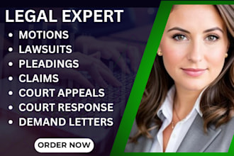 draft motions, pleadings, petitions, reply and all other documents for court