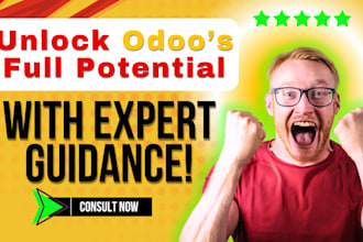 be your odoo functional consultant