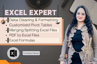 clean, format, merge, split data, create pivot tables and customize excel files