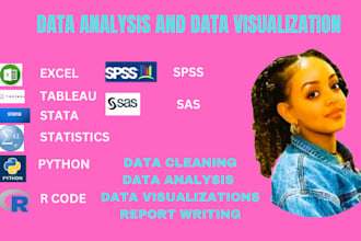 do statistical data analysis and visualization with spss,stata,r,excel,tableau