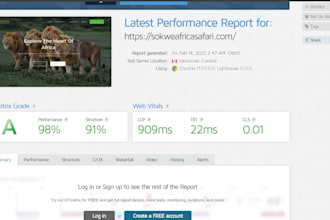 optimize wordpress speed and fix core web vitals