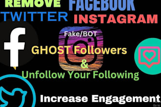 remove instagram ghost followers, bot, inactive, from twitter, youtube, facebook