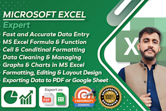 do ms excel data entry, typing job, PDF convert, copy paste, expert