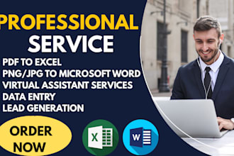 pdf file convert to excel word and translation job