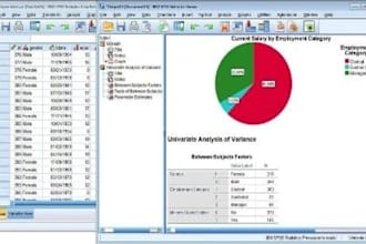 provide expert data analytics using spss rstudio and excel
