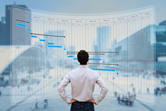 plan, structure, and manage your project professionally