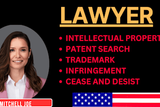 be intellectual property, trademark, patent and copyright infringement lawyer
