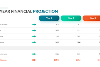 do financial model, forecasts, budget, projection, profit and loss as a CPA