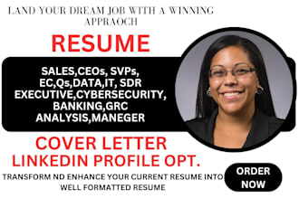 write professional ats resume for sales ceo coo realtor b2b sdr marketing
