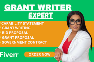 do business plan, grant and business proposal, pitch deck, financial projection
