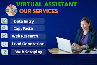 do any virtual assitant, data entry, b2b lead, web scracping