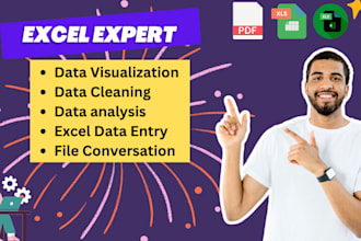 do clean, organize, merge and format excel,CSV pivot table