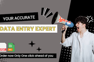 do data entry, typing work, PDF to excel