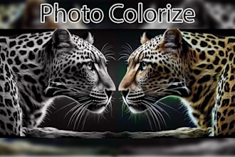colorize and enhance your old photo professionally