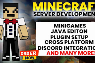develop your minecraft server