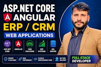 build asp dotnet core web application, CRM, erp with angular