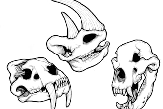 draw the skull of any animal