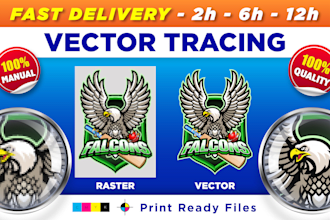 do vector tracing, recreate your logo or image to vector ai