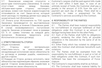 provide interpretation and virtual assistance in en ar ru