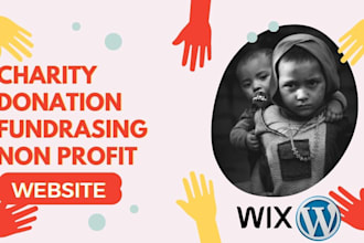 create wordpress nonprofit ngo charity donation website