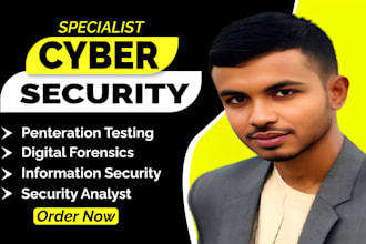 do website security and penetration testing vulnerability analysis