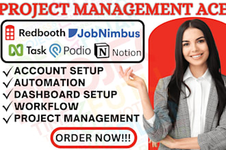 setup redbooth plaky ntask podio automation jobnimbus notion project management
