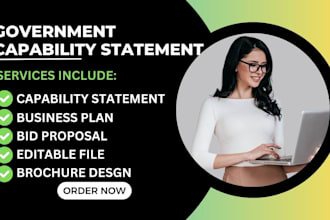 design a converting and professional government capability statement
