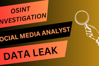 do osint investigation of web and social media research work