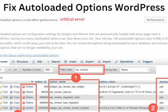 fix and optimize autoloaded options in wordpress