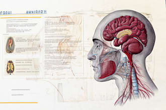 do academic illustrations scientific figures medical illustration