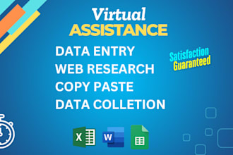 do data entry web research data mining copy paste and virtual assistance