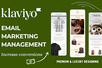 be your klaviyo email marketing manager for high conversions