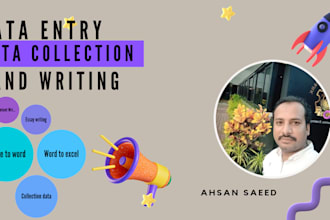 professional data entry ,essay writing and  handwriting services