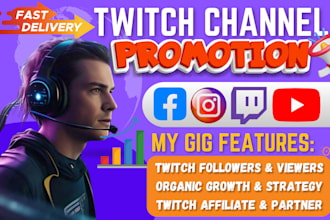 do organic twitch SEO channel promotion to increase your channel growth