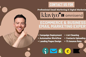 setup email campaigns, workflows on klaviyo or omnisend email marketing and CRM