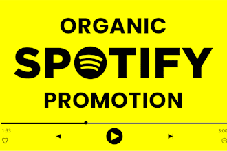 do create and run effective ad campaigns for your spotify music promotion