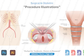 create medical and scientific illustrations with quick reply