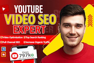do best youtube video SEO expert optimization for top ranking and more views