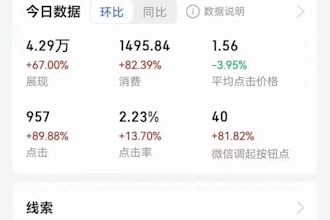 set up and operate chinese ads for you, such as baidu
