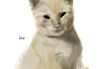 pet digital painting art