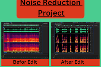 remove background noise and sound from your audio